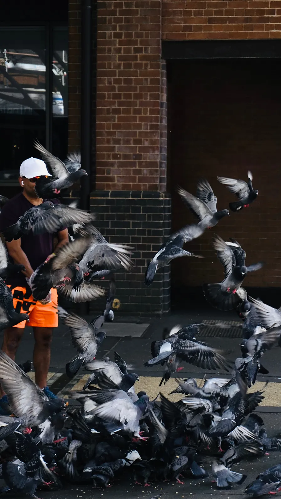 CH.04 Birds — 01