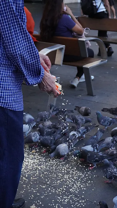 CH.04 Birds — 06